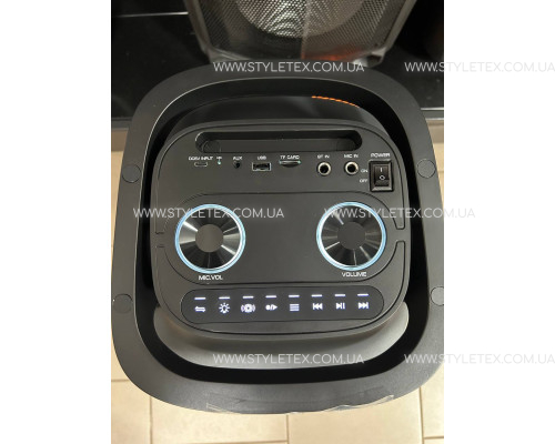 6620D-4-500x400 Портативна акумуляторна колонка Temeisheng 6620D