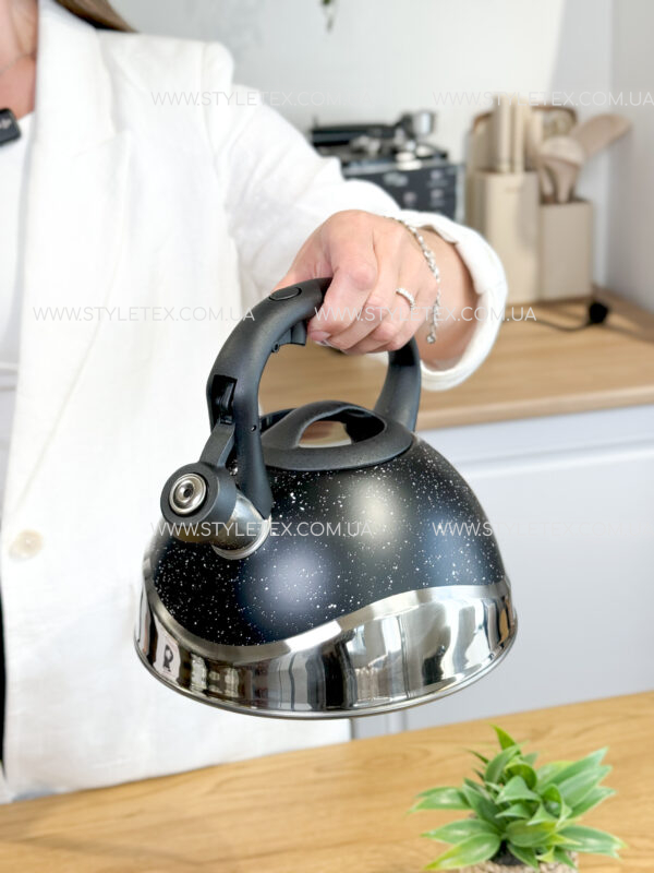 IMG_8228 Чайник зі свистком 3 л нержавіюча сталь Styleberg 1385 A-WK