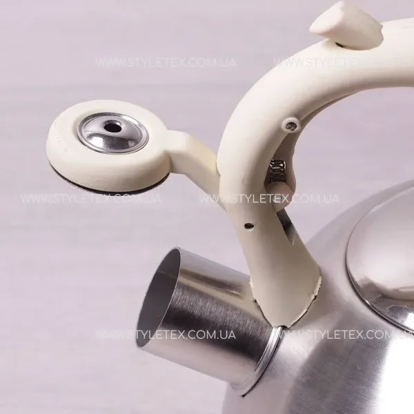 shopping (1) Чайник із нержавіючої сталі 2 л Kamille KM-0693